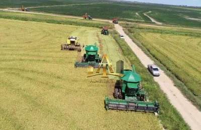 Fazenda à venda de soja/arroz/pecuária - são gabriel/rs