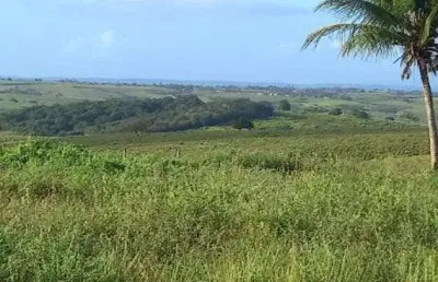 Chácara / sítio à venda no Ururaí, Campos dos Goytacazes 