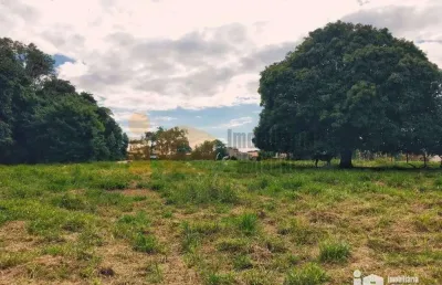 Terreno à venda, 6050 m² por r$ 2.630.000,00 - jardim santa terezinha - rolândia/pr