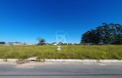 Terreno à venda no Urussanguinha, Araranguá 