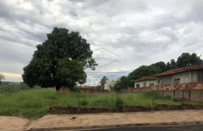 Casa à venda no Parque Santa Edwiges, Bauru 
