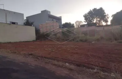 Casa à venda na Vila Bom Jesus, Bauru 