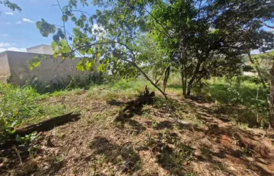 Casa à venda no Jardim Nicéia, Bauru 
