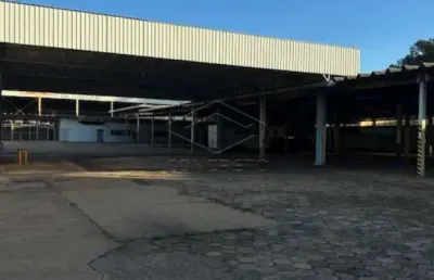 Barracão / Galpão / Depósito para alugar no Jardim Brasil, Bauru 