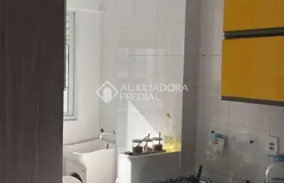 Apartamento com 1 quarto à venda na rua hamilton ferreira, 203, areias, são josé, 46 m2 por r$ 275.000