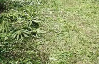 Terreno no rio bonito com 0 quartos para venda, 30000 m²