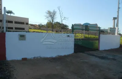 Terreno comercial para alugar na Avenida Maurílio Biagi, 0, Ribeirânia, Ribeirão Preto