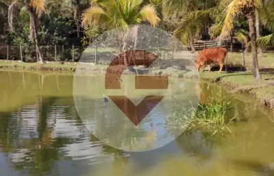 Chácara / sítio com 3 quartos à venda na estrada do rio fundo, 500, caxito, maricá, 5450 m2 por r$ 1.490.000
