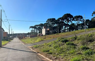 Terreno em condomínio fechado à venda na rua flamingos, 232, gralha azul, fazenda rio grande, 120 m2 por r$ 169.000