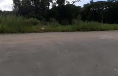 Terreno para venda em barra velha, quinta dos açorianos