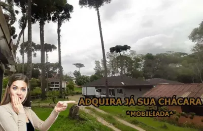 Chácara / sítio com 6 quartos à venda na Jorge Taborda, Roseira, Colombo