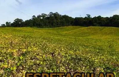 Chácara / sítio à venda na Estrada Do Felpudo, Guabiroba, Campo Largo