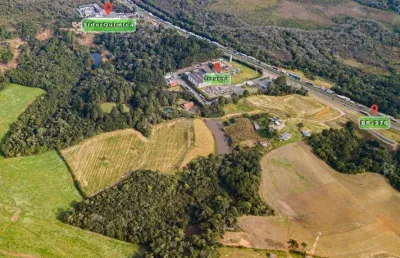 Terreno comercial à venda na Rodovia BR-376, Ouro Fino, São José dos Pinhais