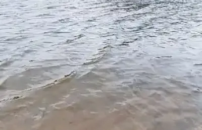 Chácara / sítio à venda na Rua Benjamim Constant Teixeira, Centro, Bocaiúva do Sul