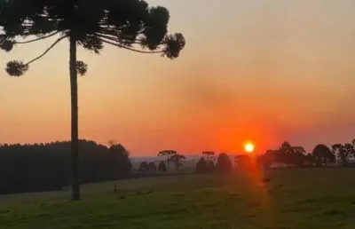Chácara / sítio à venda na Rua Antônio Greboge, Centro, São José dos Pinhais