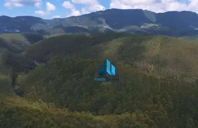 Fazenda de eucalipto para extração de madeira, 600 hectares por r$ 16.000.000 - lima duarte/mg