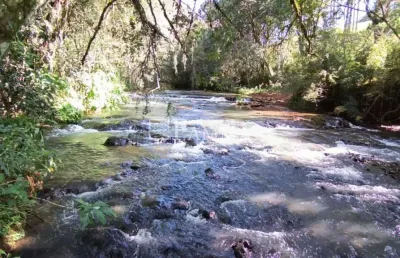 Chácara com rio nos fundos, interior, pato branco - pr. estrada asfaltada