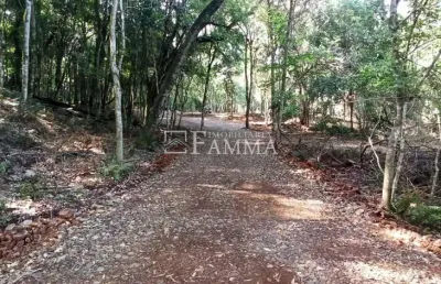 Chácara / sítio à venda na Estrada Passo Da Ilha, Zona Rural, Pato Branco