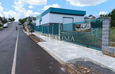 Barracão disponível para locação, são francisco, pato branco - pr