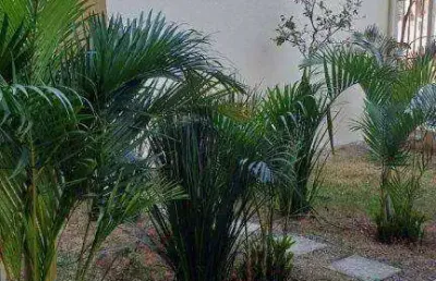 Apartamento com 2 dormitórios à venda, 45 m² por r$ 340.000,00 - jardim record - taboão da serra/sp