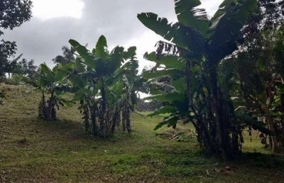 Chácara com 3 dormitórios à venda, 6300 m² por r$ 650.000,00 - mombaça - itapecerica da serra/sp