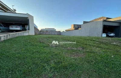 Terreno à venda, 417 m² por r$ 330.000,00 - buona vita - são josé do rio preto/sp