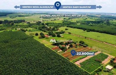 Área à venda, 22800 m² por r$ 1.000.000,00 - zona rural - bady bassitt/sp