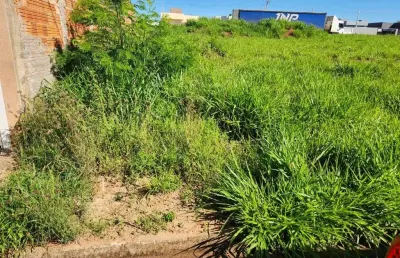 Terreno à venda, 200 m² por r$ 80.000,00 - parque maria serantes - são josé do rio preto/sp