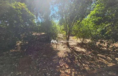 Chácara à venda, 1000 m² por r$ 150.000,00 - centro - ipiguá/sp