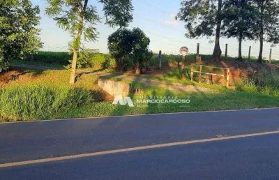 Sítio com 2 dormitórios à venda, 85114 m² por r$ 2.500.000,00 - rural - bady bassitt/sp