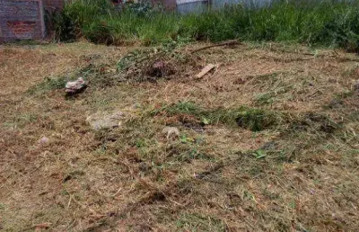 Terreno à venda, 200 m² por r$ 95.000,00 - são thomas - são josé do rio preto/sp