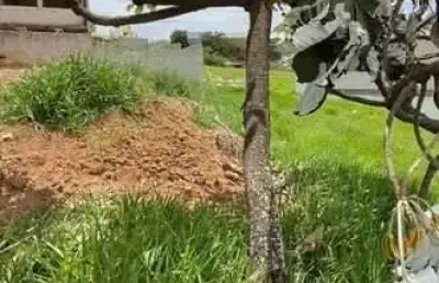 Terreno à venda na rua pastor antonio tiburtino da silva, jardim ibirapuera, campinas por r$ 254.000