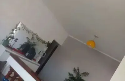 Casa com 3 quartos à venda no jardim flamboyant, campinas , 163 m2 por r$ 742.000