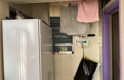 Apartamento com 3 quartos à venda na vila ferreira jorge, campinas , 87 m2 por r$ 320.000