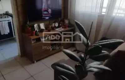 Apartamento com 2 quartos à venda no jardim nova europa, campinas , 50 m2 por r$ 275.000