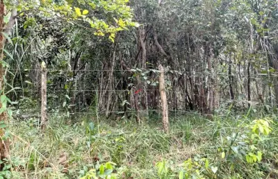 Terreno no loteamento quintas do castelo da torre com viabilidade para  empreendimento imobiliário