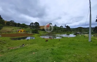 Chácara / sítio com 1 quarto à venda na zona rural, tijucas do sul , 62 m2 por r$ 350.000