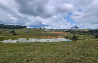 Fazenda 21 alqueires em serrinha – água em abundância, pasto formado e curral
