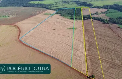 Chácara / sítio à venda na Zona Rural, Zona Rural, Bela Vista do Paraíso