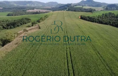 Fazenda à venda na Zona Rural, Tamarana 