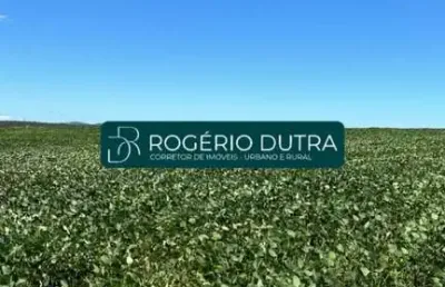 Fazenda à venda na Sítio D`abadia, Zona Rural, Formoso