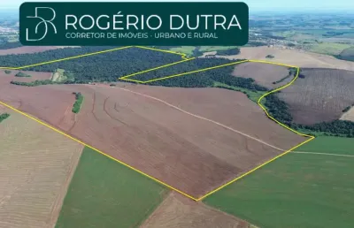 Fazenda à venda na 50 Km De Londrina, Área Rural de Londrina, Londrina