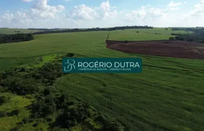 Fazenda à venda na Zona Rural, Área Rural de Londrina, Londrina