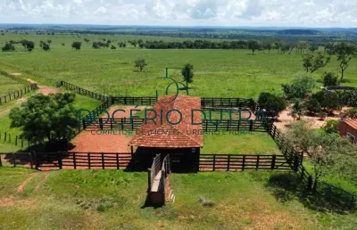 Fazenda à venda na Zona Rural, Zona Rural, Inocência