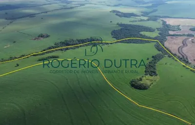 Fazenda à venda na Zona Rural, Zona Rural, Pitangueiras