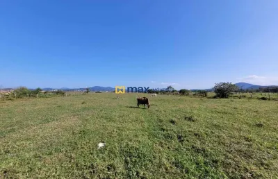 Terreno à venda em São Roque, Itajaí 