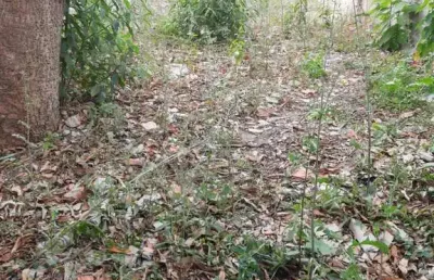 Terreno à venda no jardim adriane, itaquaquecetuba  por r$ 165.000