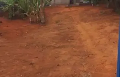 Casa com 1 quarto para alugar no residencial jasmim, itaquaquecetuba 