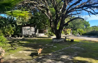 Chácara / sítio com 2 quartos à venda na Rua dos Caetés, Sn, Jacintinho, Maceió