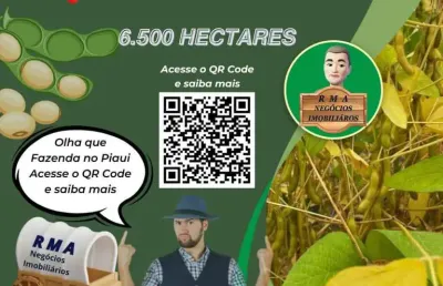 Fazenda à venda na Zona Rural, Altos 